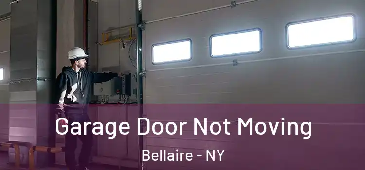  Garage Door Not Moving Bellaire - NY
