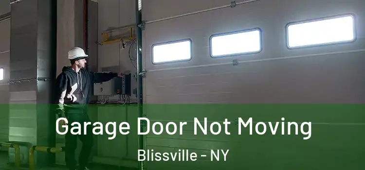  Garage Door Not Moving Blissville - NY