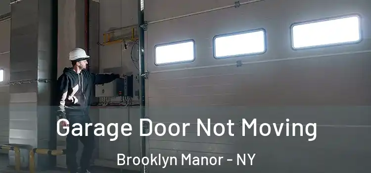  Garage Door Not Moving Brooklyn Manor - NY