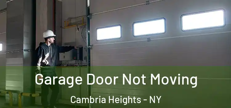  Garage Door Not Moving Cambria Heights - NY
