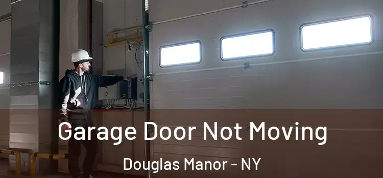  Garage Door Not Moving Douglas Manor - NY