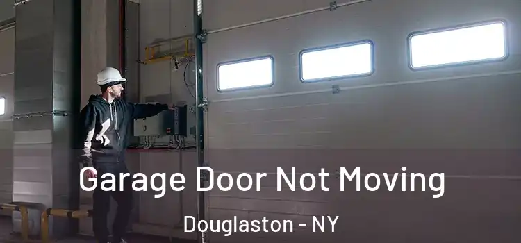  Garage Door Not Moving Douglaston - NY