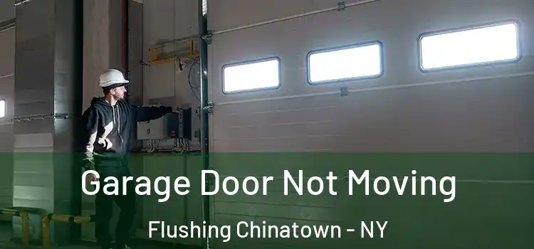  Garage Door Not Moving Flushing Chinatown - NY