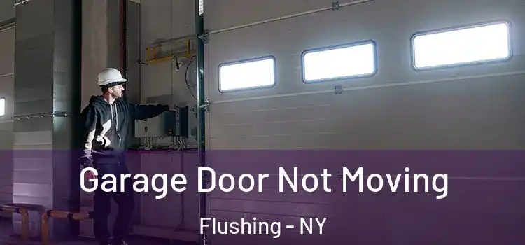  Garage Door Not Moving Flushing - NY