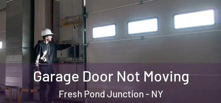  Garage Door Not Moving Fresh Pond Junction - NY