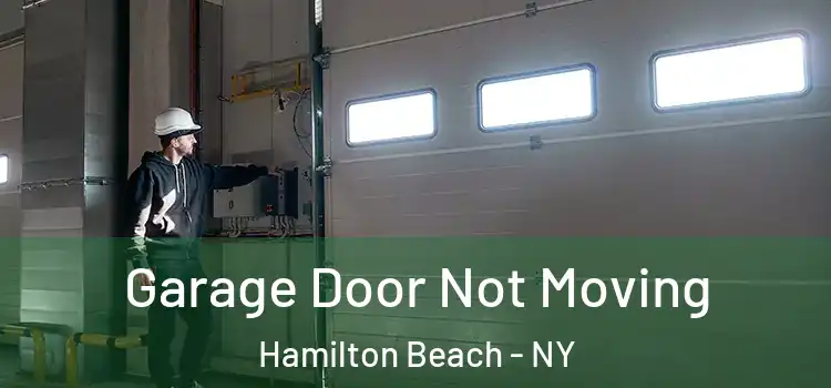  Garage Door Not Moving Hamilton Beach - NY
