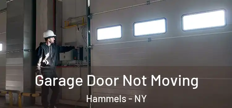  Garage Door Not Moving Hammels - NY