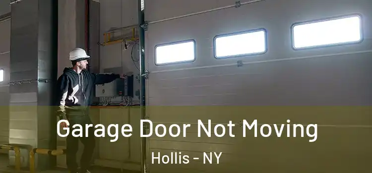  Garage Door Not Moving Hollis - NY