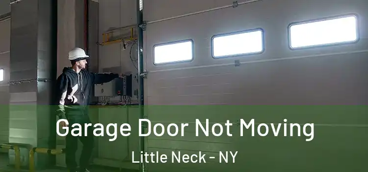  Garage Door Not Moving Little Neck - NY