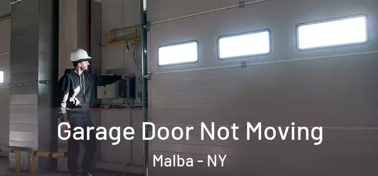  Garage Door Not Moving Malba - NY