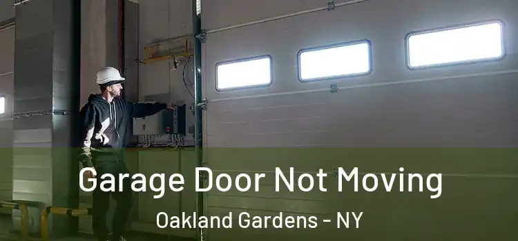  Garage Door Not Moving Oakland Gardens - NY