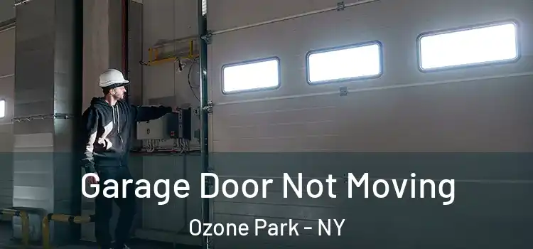 Garage Door Not Moving Ozone Park - NY