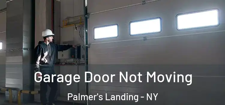 Garage Door Not Moving Palmer's Landing - NY
