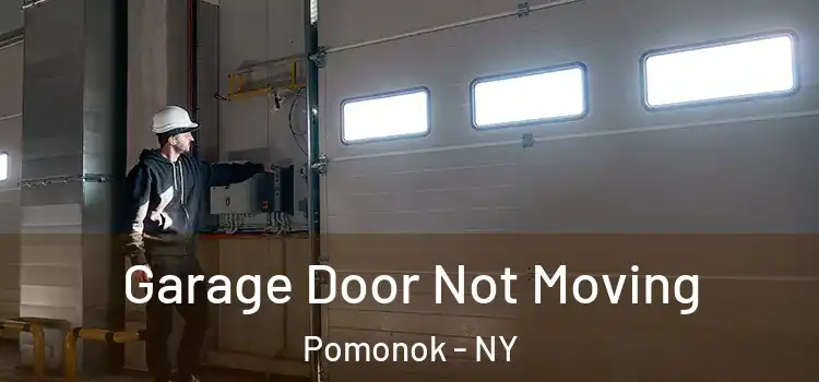  Garage Door Not Moving Pomonok - NY