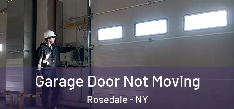  Garage Door Not Moving Rosedale - NY