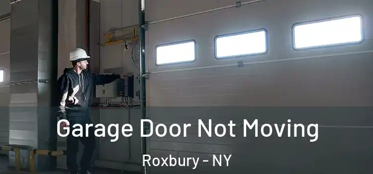  Garage Door Not Moving Roxbury - NY