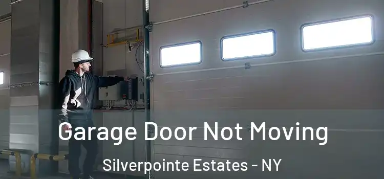  Garage Door Not Moving Silverpointe Estates - NY