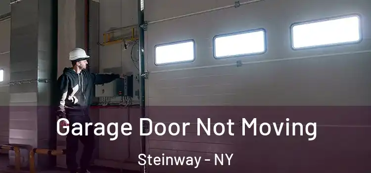  Garage Door Not Moving Steinway - NY