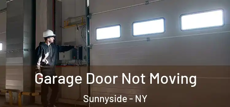  Garage Door Not Moving Sunnyside - NY