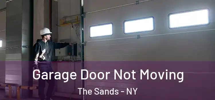 Garage Door Not Moving The Sands - NY