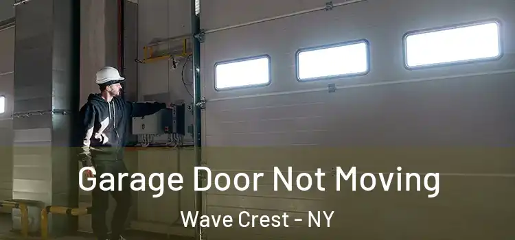  Garage Door Not Moving Wave Crest - NY