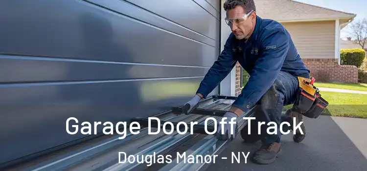  Garage Door Off Track Douglas Manor - NY