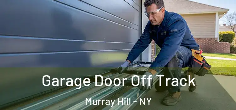  Garage Door Off Track Murray Hill - NY