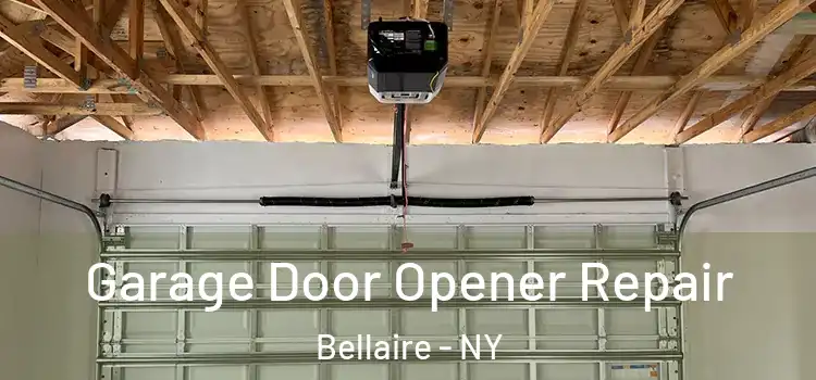  Garage Door Opener Repair Bellaire - NY