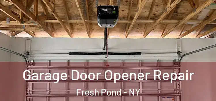  Garage Door Opener Repair Fresh Pond - NY
