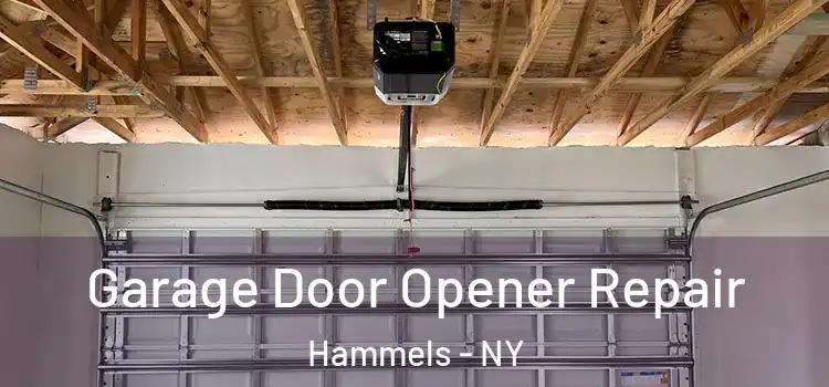  Garage Door Opener Repair Hammels - NY