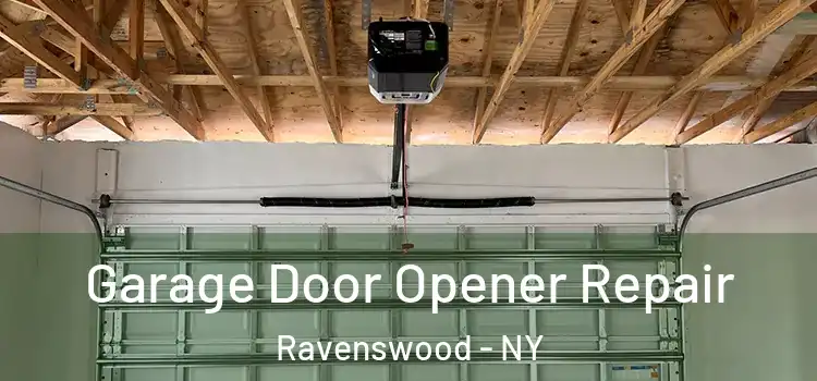  Garage Door Opener Repair Ravenswood - NY