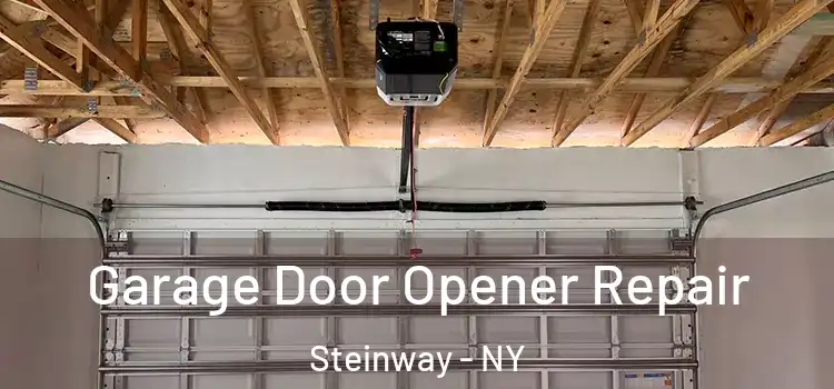  Garage Door Opener Repair Steinway - NY