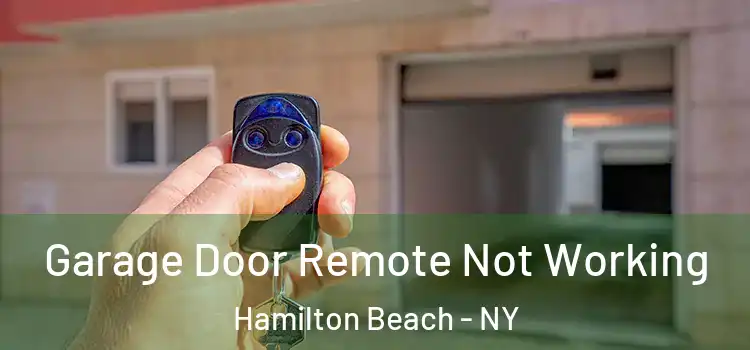  Garage Door Remote Not Working Hamilton Beach - NY