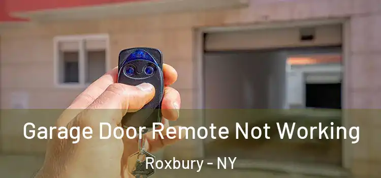  Garage Door Remote Not Working Roxbury - NY