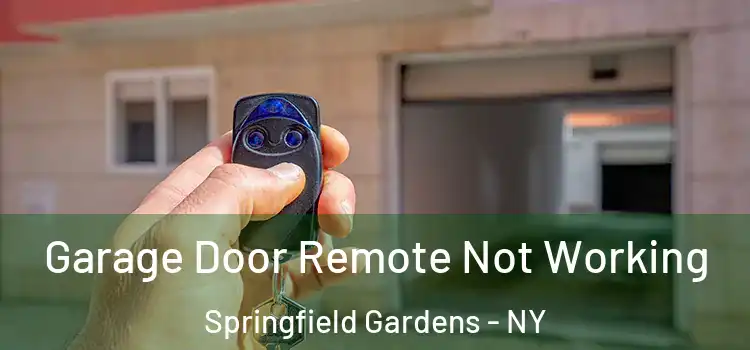  Garage Door Remote Not Working Springfield Gardens - NY