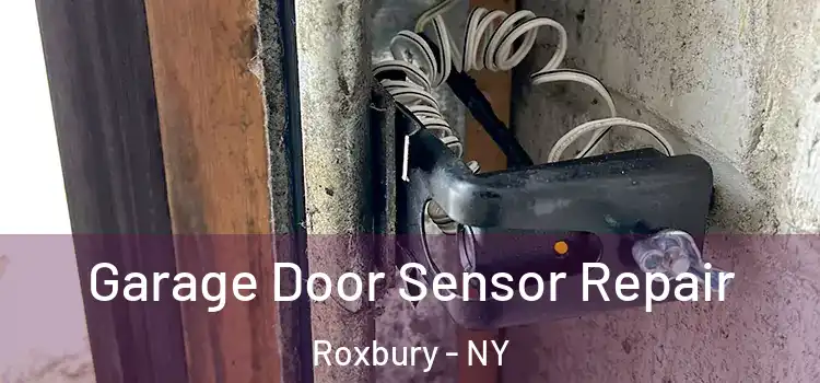 Garage Door Sensor Repair Roxbury - NY