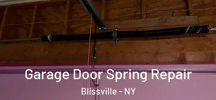  Garage Door Spring Repair Blissville - NY