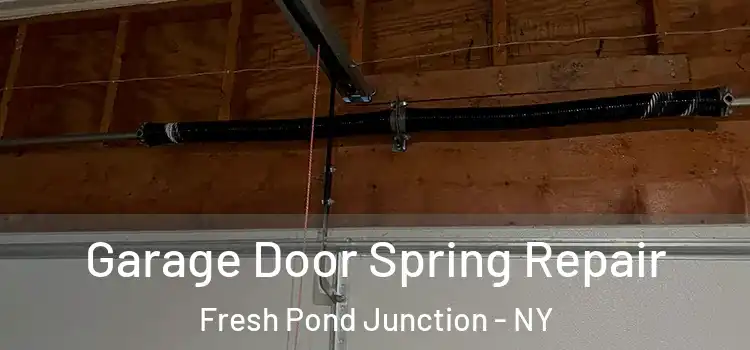 Garage Door Spring Repair Fresh Pond Junction - NY
