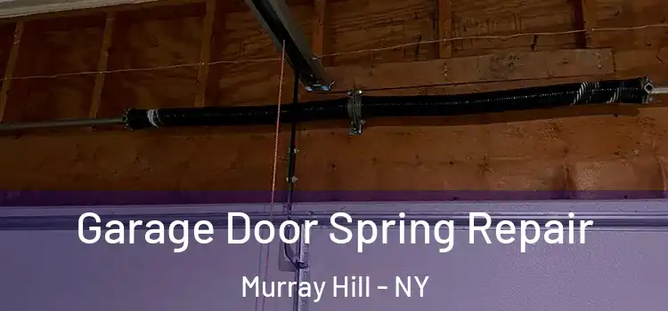  Garage Door Spring Repair Murray Hill - NY