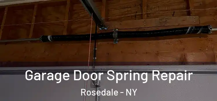  Garage Door Spring Repair Rosedale - NY