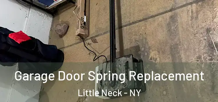  Garage Door Spring Replacement Little Neck - NY