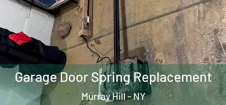  Garage Door Spring Replacement Murray Hill - NY