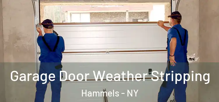  Garage Door Weather Stripping Hammels - NY