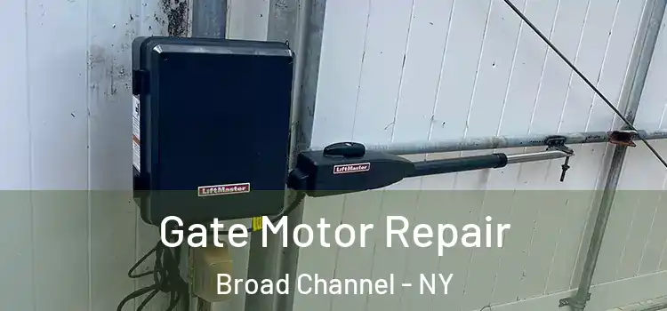 Gate Motor Repair Broad Channel - NY