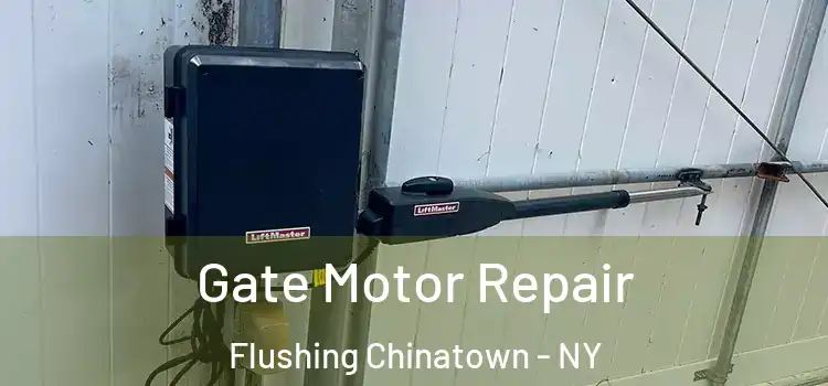 Gate Motor Repair Flushing Chinatown - NY
