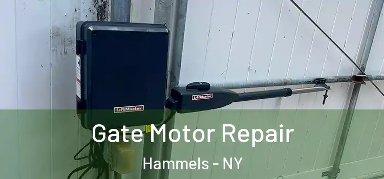 Gate Motor Repair Hammels - NY