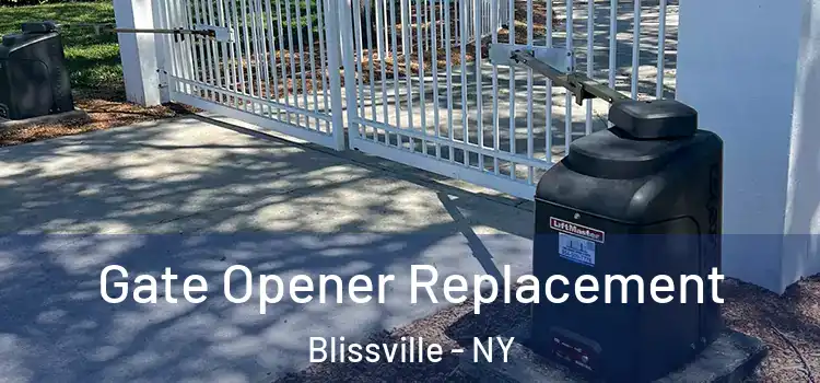 Gate Opener Replacement Blissville - NY