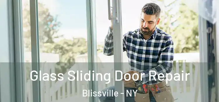  Glass Sliding Door Repair Blissville - NY