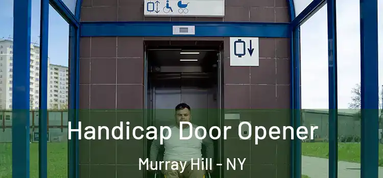 Handicap Door Opener Murray Hill - NY