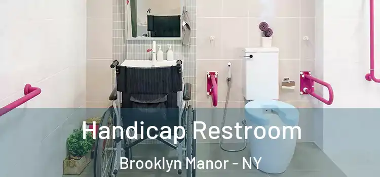 Handicap Restroom Brooklyn Manor - NY